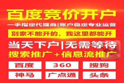 某电商平台的SEM代运营策略解析